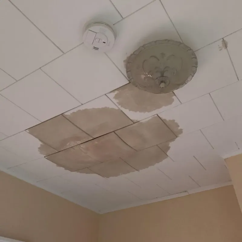 Ceiling Water Damage Repair in Milford, OH