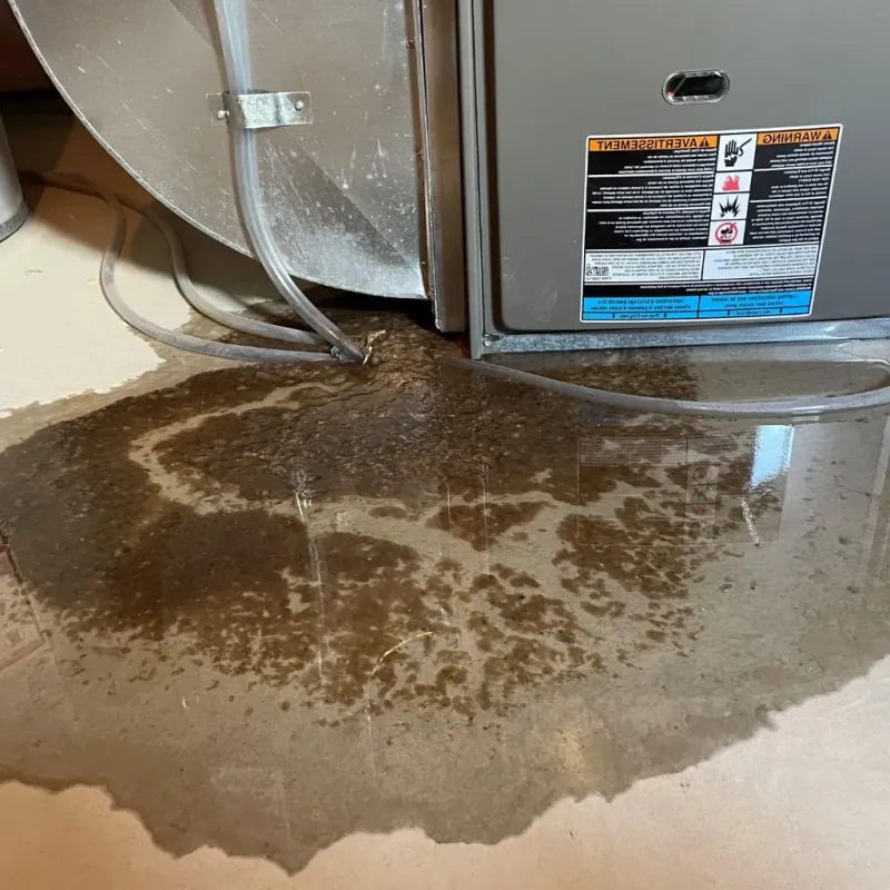 Pipe Burst and Leak Restoration in Milford, OH